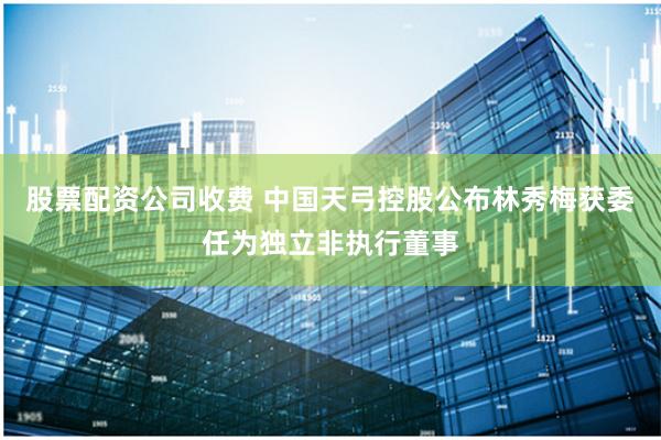 股票配资公司收费 中国天弓控股公布林秀梅获委任为独立非执行董事